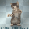 Shake that booty!