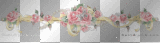 flowers divider