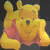 Winnie The Pooh