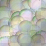 bubbles