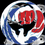 wado ryu and yin & yang wado ryu and yin & yang
