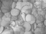Shells