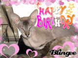 Happy birthday
