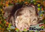 Duncan