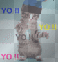 You Rock