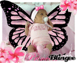 baby butterflii baby butterflii