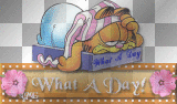 cat, garfield, what a day, glittery, flowers, pink, kitty, friends, words