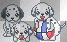 aww! Dalmation!
