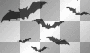 bats