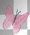 pink butterfly