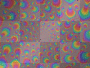 trippy trippy