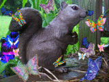 fluterbye
