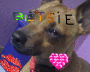 betsie