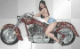 harley chick
