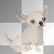 Doggy!