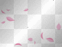 Pink Petals