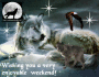 wolf