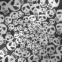 skullsz
