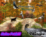Nativepride33