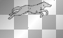 wolf running