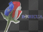 boricua