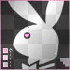 playboy bunny!!!