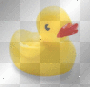 rubber duckie