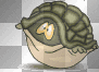 Turtle III