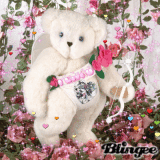 love bear