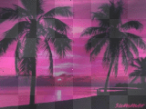 pink palm trees