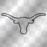 Texas Longhorns
