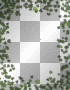Lucky Shamrock Frame (Vertical)