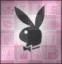 playboy