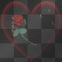 heart and rose