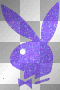 PlayBoy Bunny