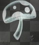 shroom