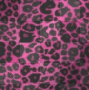 leopard print