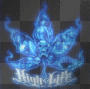 high life