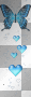 blue butterfly