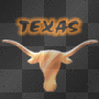 texas