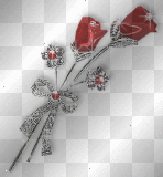 shiny roses
