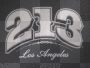 213 L.A.