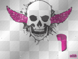 bianca skull