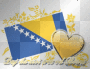 BOSNIAN FLAG N H3ART