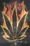 weed