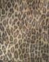 ll