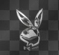 Playboi Bunnie