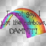 i'm not gay!
