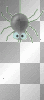 lil miss muffets spider!