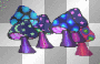 shrooms